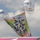 금산인삼 - 금산군 비단로 140 | 금산인삼