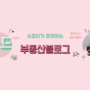 대산부동산중개 이미지