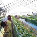 오촌농장 이미지