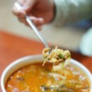 부광반점 이미지