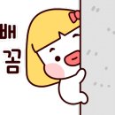 굿모닝가스설비
