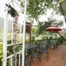 솔향기 펜션 이미지