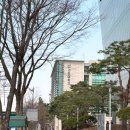 성남대로1416번길 네이버블로그