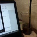 카페 크렘 with 나따오비까 | 서현역 디저트 서현카페 ㅅㅎㅋㅍ with 나따오비까 방문후기