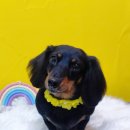 상일축산 이미지