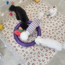 멍더가든 이미지