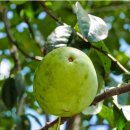 이목사거리 이미지