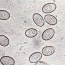 광화문동물병원 이미지