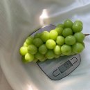 프리미엄농장 이미지