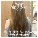 베이지뷰티 | 아녹헤어 민서원장의 시그니처 뷰티 인플런서 ‘배귀신’님이 선택한 여신편 밀크베이지 염색 후기