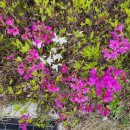 시립별하람어린이집 이미지