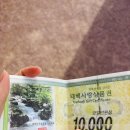 평화길 | 초등아이와 태백 365세이프타운 후기
