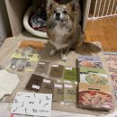 스쿱543 | [공지] [내돈내산] #스쿱543 화식 후기