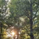 주차82 | 매봉역 데이트 코스 추천] 퀸즈베리도넛하우스 양재, 센티맷, cuisson82(뀌쏭82) 후기 / 주차 꿀팁까지!