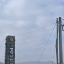 엘리시안강촌콘도 이미지