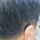 독일보청기 | 보청기 처음이라면 꼭! 실이측정까지 세심했던 시그니아독일보청기 도봉센터 후기