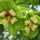 순옥이네 이미지