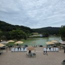 오아시스 | 포천신상카페 그리네 오아시스 솔직 후기