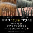 이으다 - 군산시 신지길 21 | 이으다