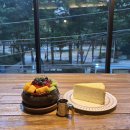 [언제든학교]수제 밀크티 클래스 | 대구 동성로 디저트카페 추천 제철과일 인생 빙수맛집 ‘티클래스 T class’