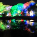 남이섬 하늘사랑 이미지