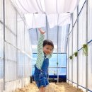 청은농장 이미지