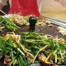 감골오리 이미지