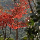 신라대학교 이미지