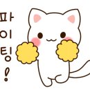 렛츠볼 해운대센텀점