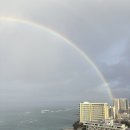 마카오래 | 하와이 신혼여행 후기 2편 거북이 스노클링 마카푸우 하이킹 와이키키 드라이브 오아후 둘째날 일정 정리