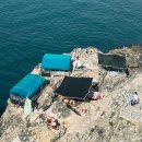 5월 뚜벅이 부산여행 2탄 (태종대, 삼광사,서면빵지순례)
