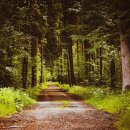 해동중학교 이미지