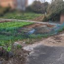 경기도 양평군 양평동초등학교 이미지