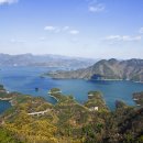 게으른 악어 이미지