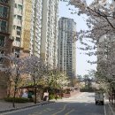 강남캐슬공인중개사사무소 이미지