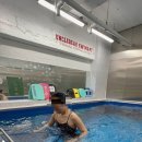 엉클베어스윔앤피티 이미지