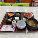 휴게소 하행(목포 방향) - 강아지 놀이터가 있는 휴게소, 서산 휴게소 맛집 메뉴, 내돈내산 솔직 후기!