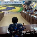 표선면-9 뉴스제주