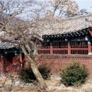 열녀 언양김씨 정려 네이버블로그
