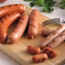 제주의 제주마 이미지