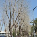 교내안경 | 노원 아이랩 안경점, 정밀 검안 후 달라진 시야 후기