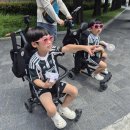 중극장 옥상1 | [아이랑 대만여행] 타이중 국가가극원의 아침과 야경, 운영시간, 1층 소품샵