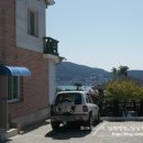 아지랑냉이랑 이미지