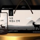 약초흑염소