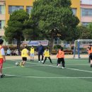 영천초등학교 이미지