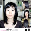 대천동 강정아왜낭목 이미지