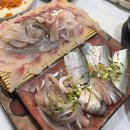 세븐일레븐마산합성시장점 | 마산 합성동 횟집 자연산전문 회복횟집 전어 모듬회 멍게비빔밥 솔직후기