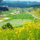 한맥스크린 이미지