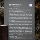 만일사 - 1258 | 만일사