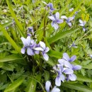 미다스공인중개사사무소 이미지